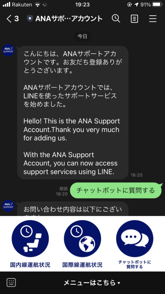 ana_chatbot